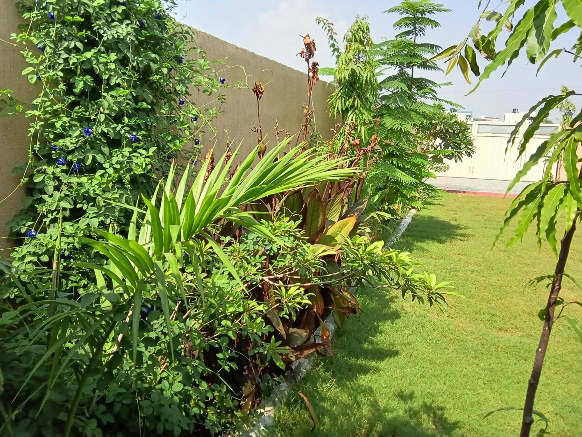 Hotel Suvarna Farm'S Wātka Exterior foto